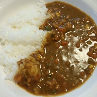 鶏ミンチで！カボチャ入り夏野菜カレー☆☆☆